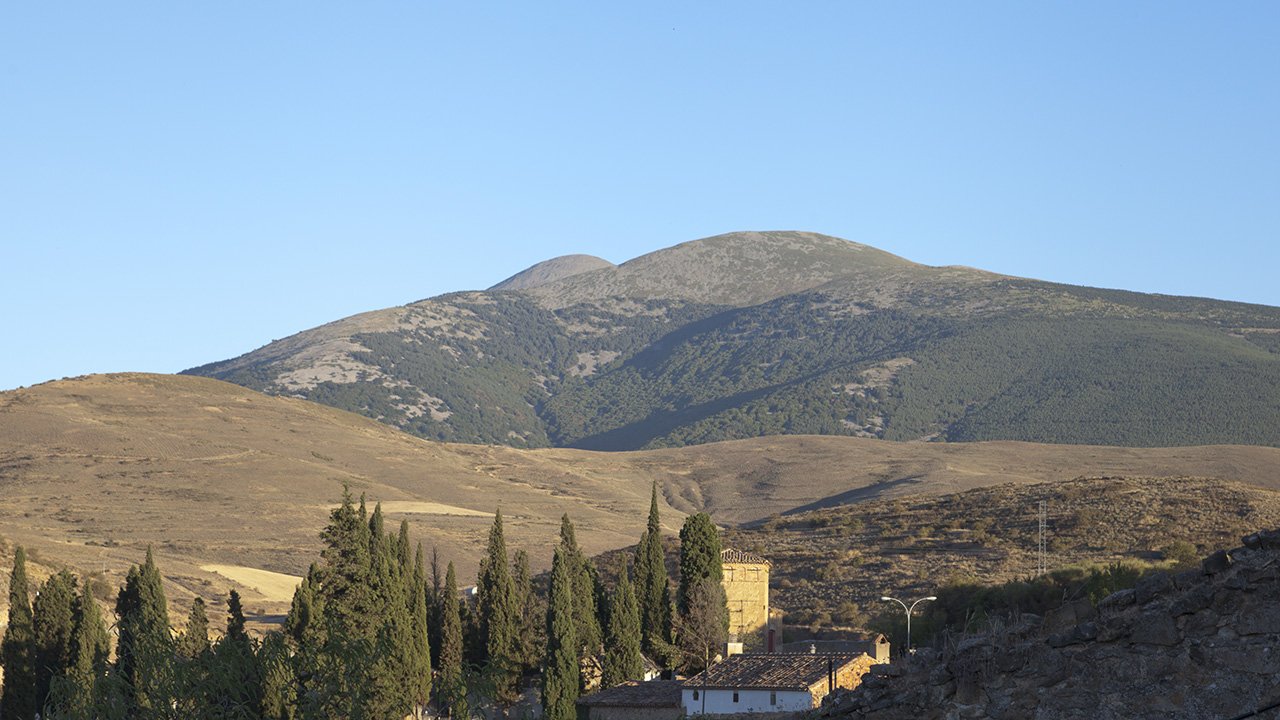 Hayedo en la vertiente norte del Moncayo